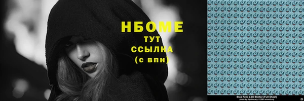 прущие грибы Инсар