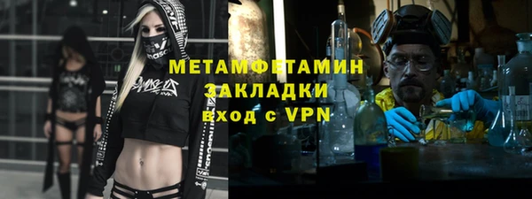 прущие грибы Инсар