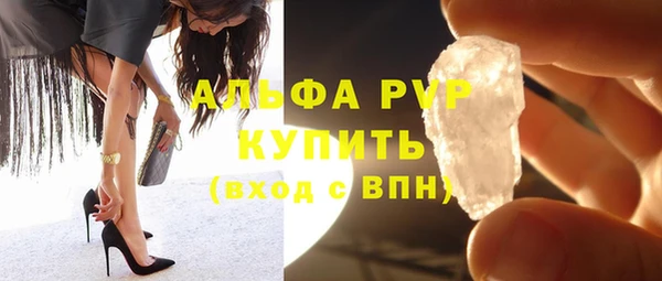 прущие грибы Инсар