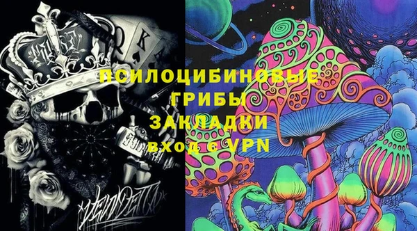 прущие грибы Инсар