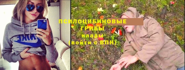 прущие грибы Инсар