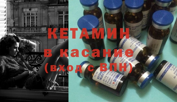 прущие грибы Инсар