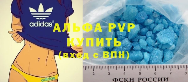 прущие грибы Инсар