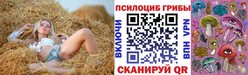Псилоцибиновые грибы мухоморы  Чайковский 